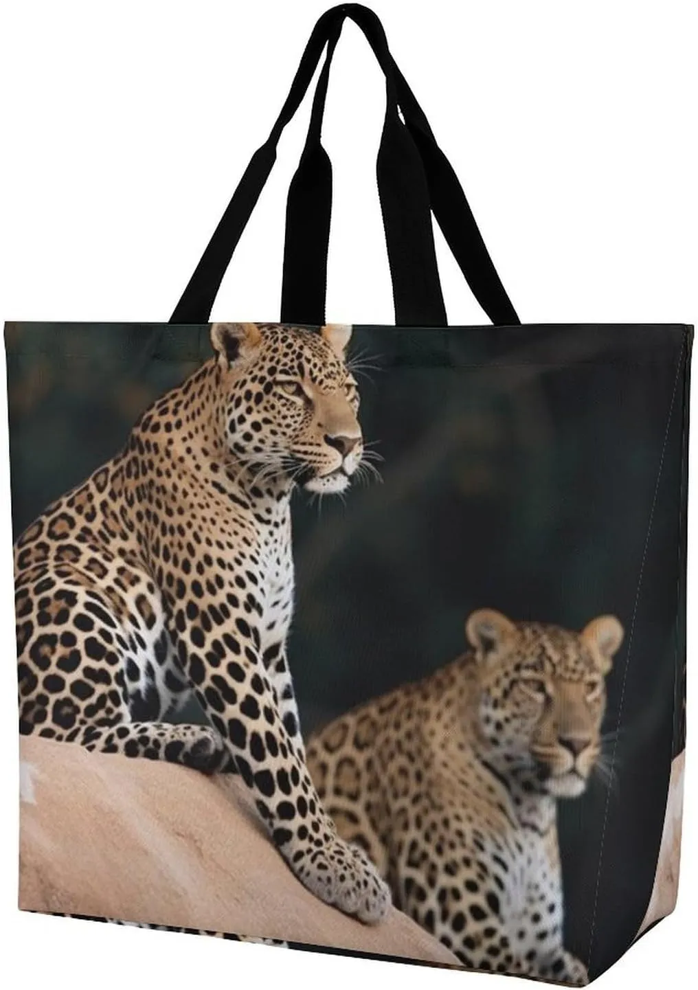 Hand Drawn Groundhog Beach Bag Reusable Tote Bag Foldable Grocery Bags Women Shopping Bags for Daily Essentials